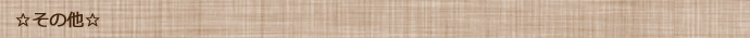 その他